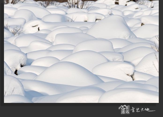 伊春雪景