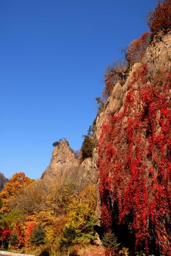 关门山秋染