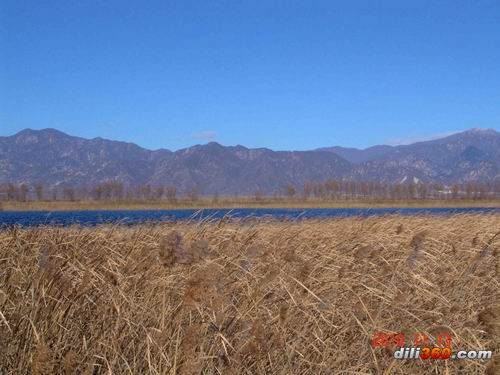 野鸭湖