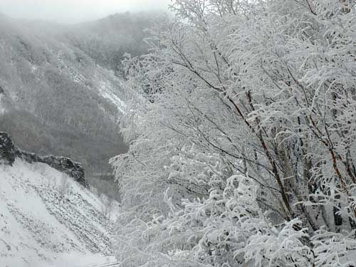 冬季玩转我国五大名山